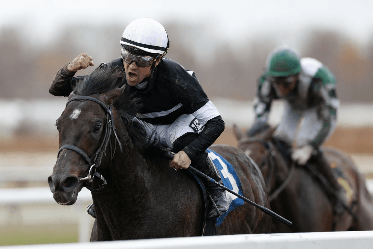 Deterministic returns to Aqueduct as favorite in Fort Marcy Stakes showdown