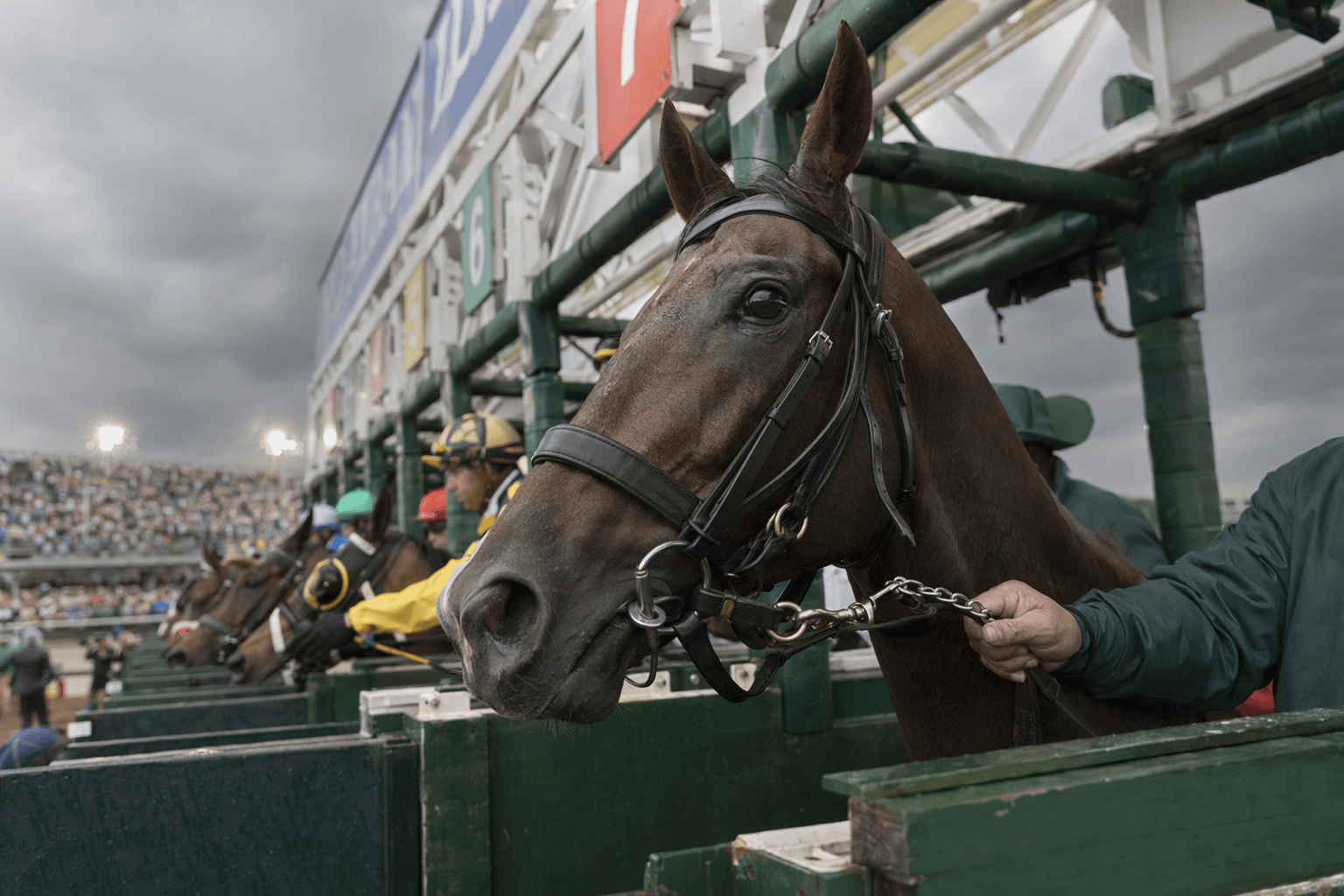 Kentucky Derby to feature full 20-horse field, Renegade draws post 1