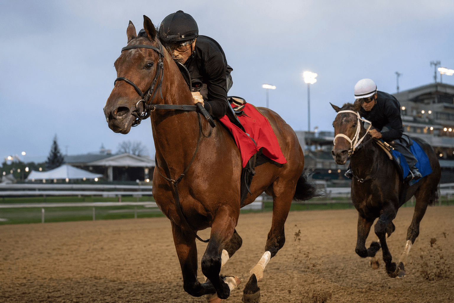 Fulleffort scratched from Kentucky Derby, Ocelli draws in as field shifts