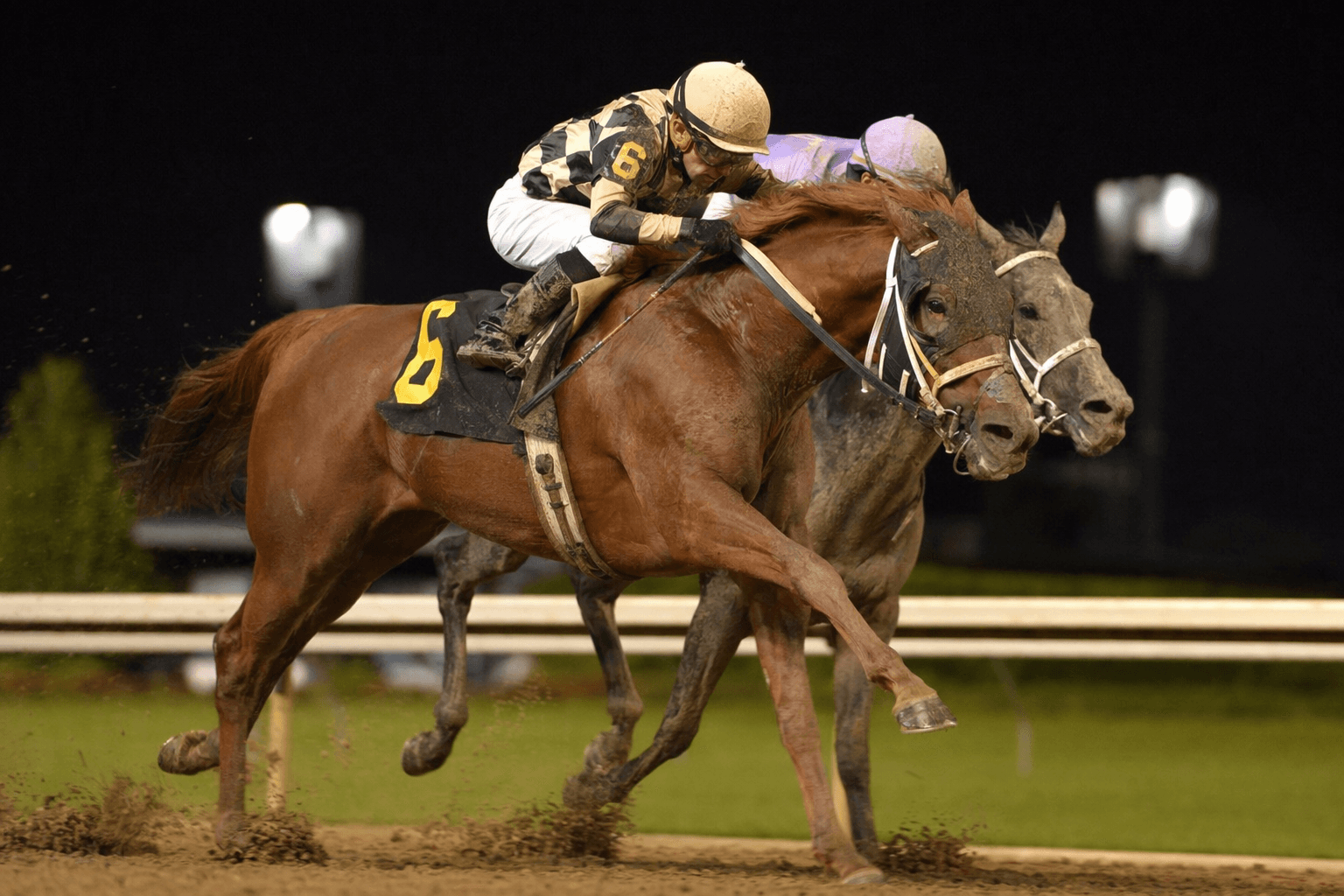 Corporate Power edges Skippylongstocking in inquiry-filled Alysheba Stakes win
