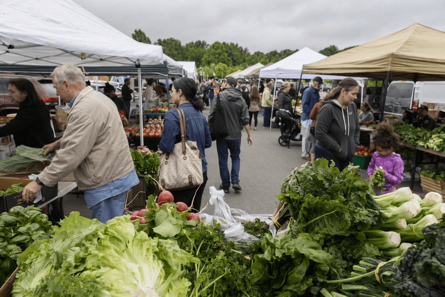 Goochland County Farmers Market wins national parks and recreation award