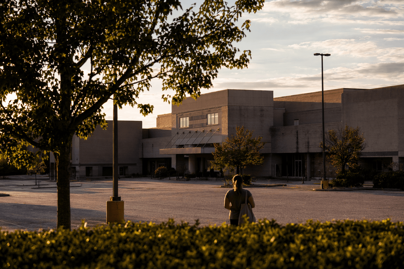 Cary council approves South Hills redevelopment plan, service district possible
