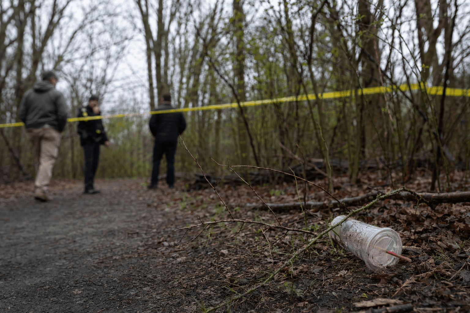 Long Island Cold Cases Reopen as DNA Links Suspect to Killing