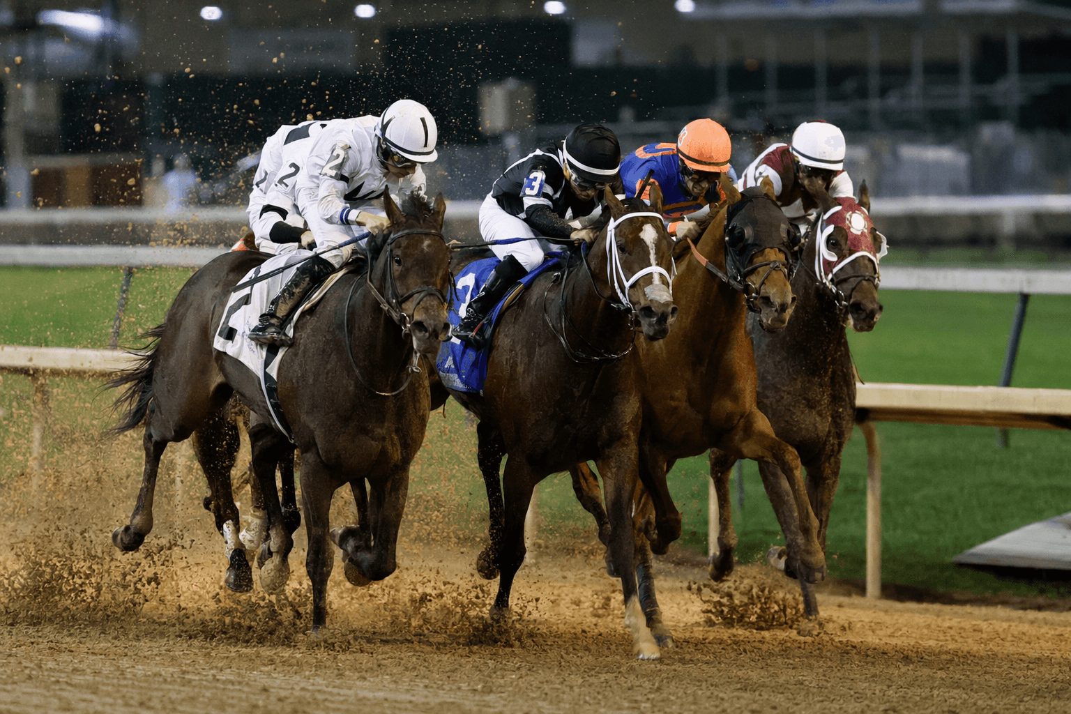 Imaginationthelady wins Edgewood Stakes by neck in tight Churchill finish