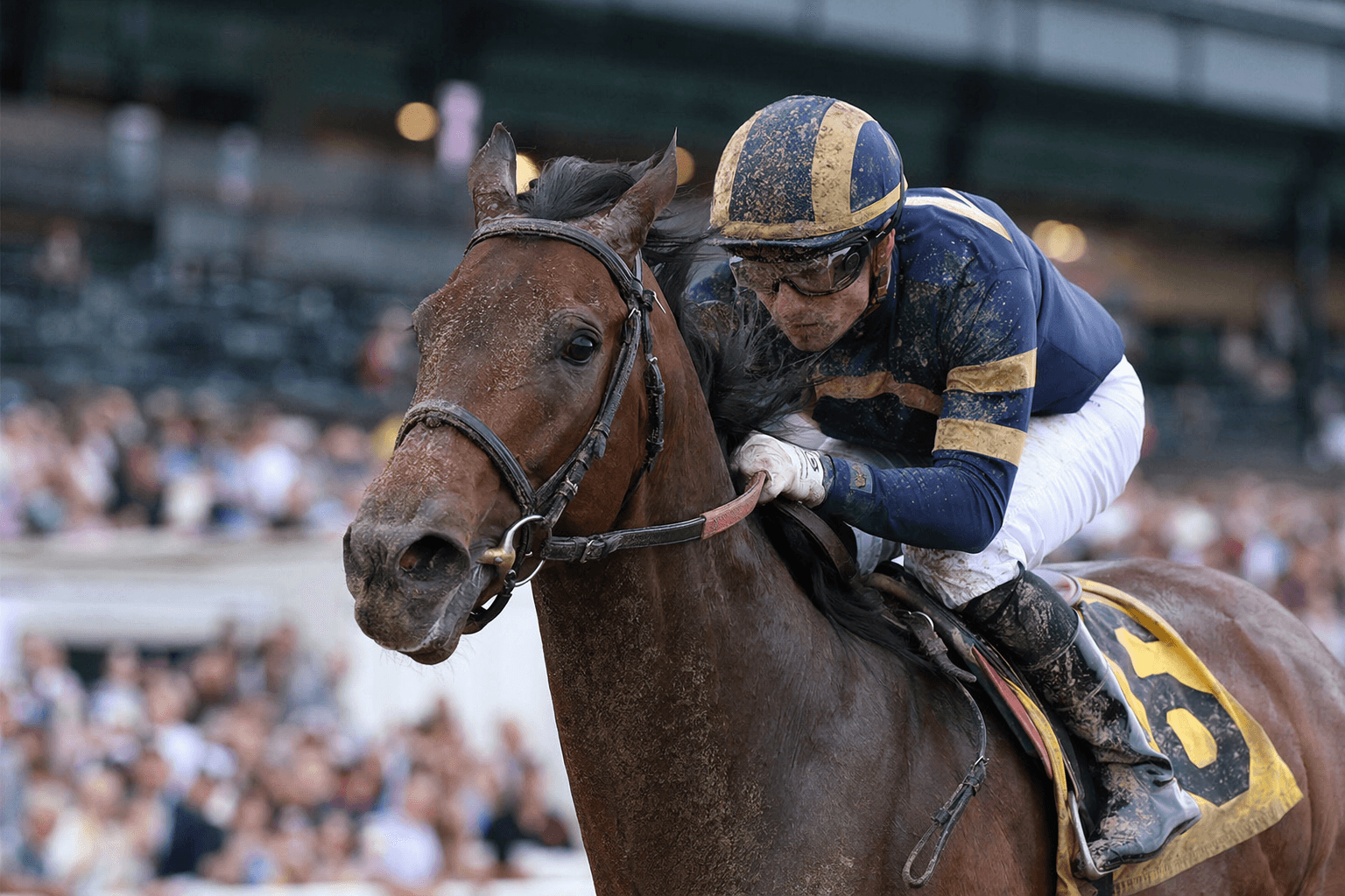 Gilded Bandit seeks to confirm maiden breakthrough in Churchill allowance test