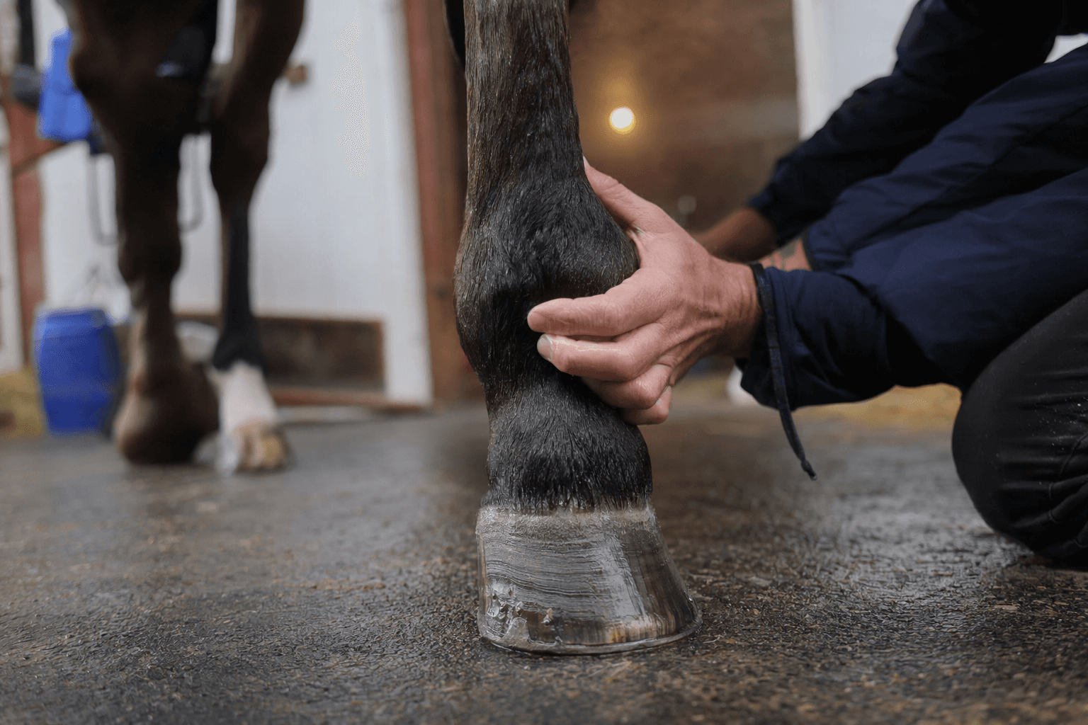 The Puma scratches from Kentucky Derby field after leg swelling setback