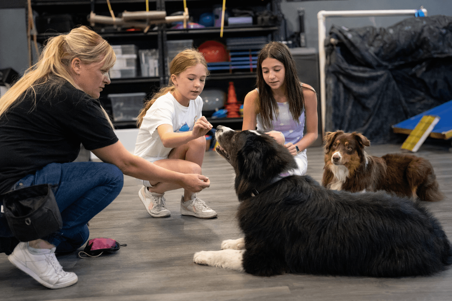 Kids help train energetic dogs to master the down command
