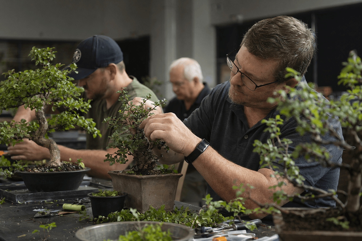 Cape Fear Bonsai Society unveils packed 2026 lineup of workshops and exhibitions