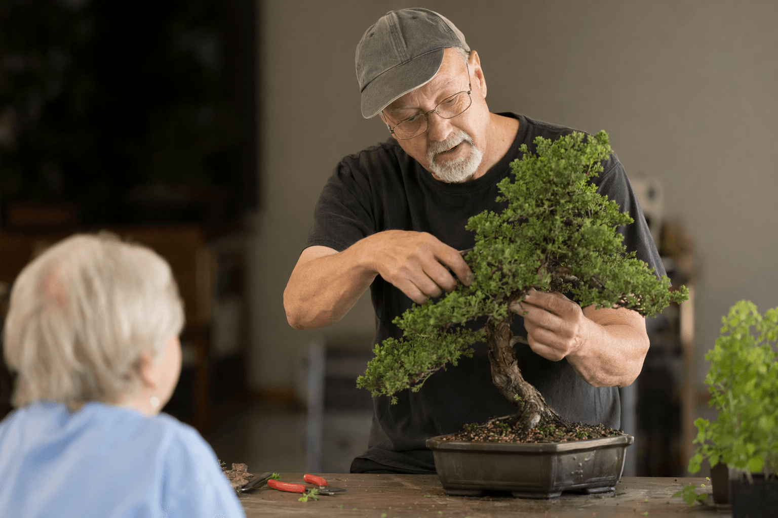 Currituck County senior center adds free bonsai class with Pete the Bonsai Guy