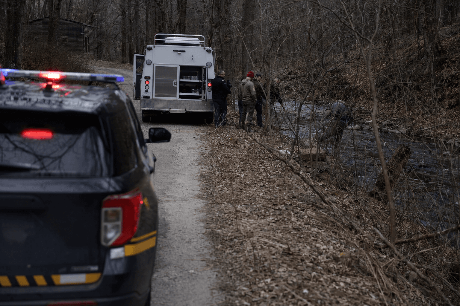 Missing New York man found dead in creek near home