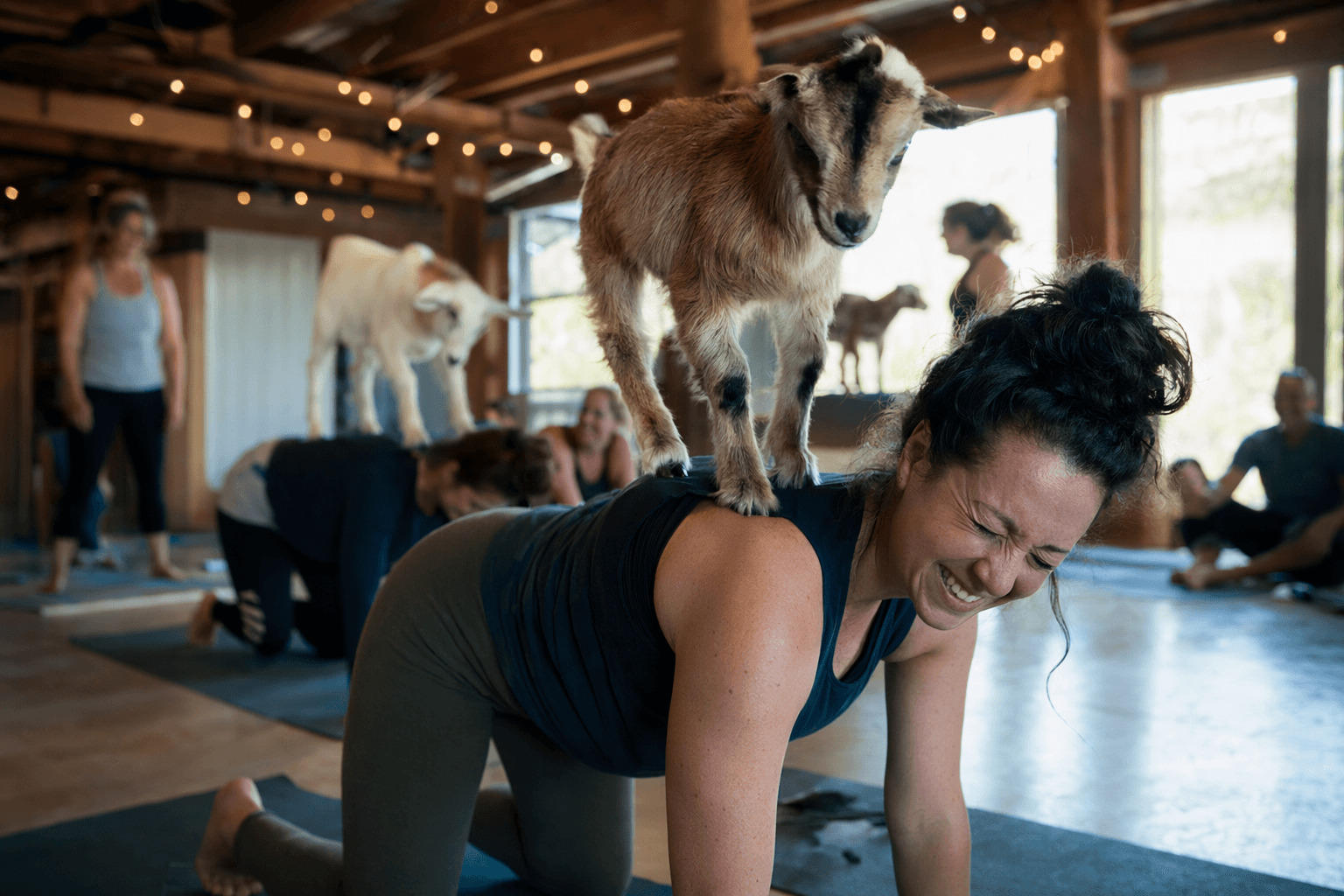 Northern Nevada investigates crypto outbreak linked to animal yoga class