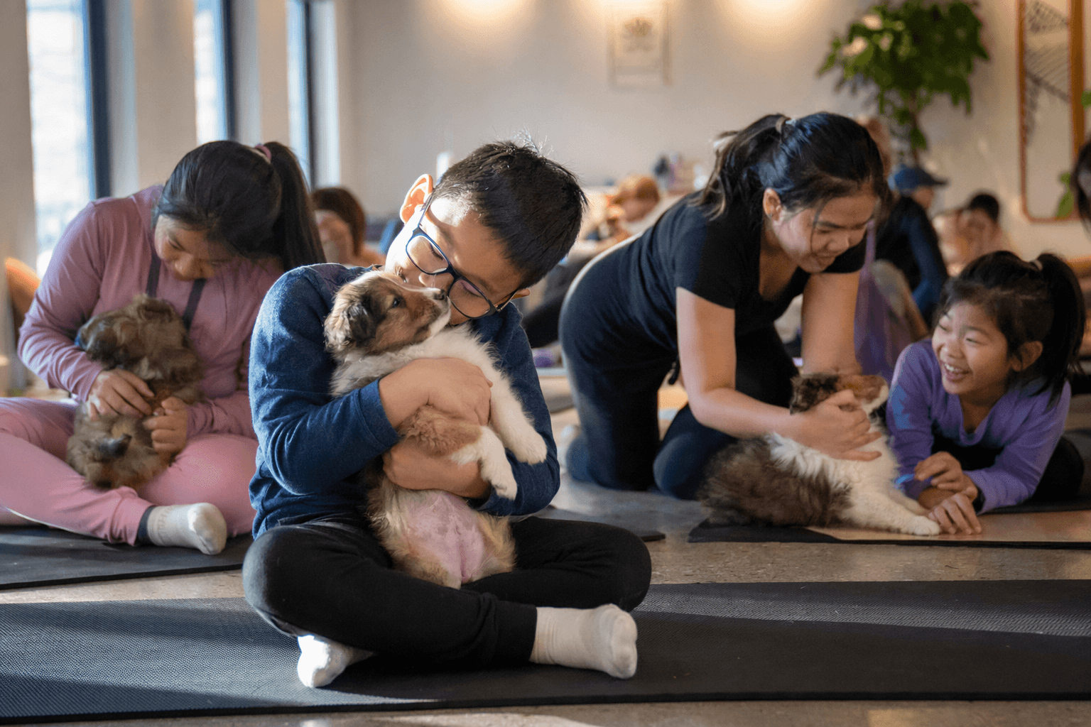 Markham puppy yoga blends gentle stretches and family-friendly cuddles