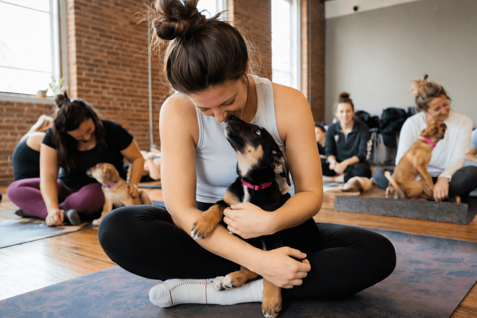Puppy Yoga Rochester blends beginner flow, puppy socialization, and rescue fun