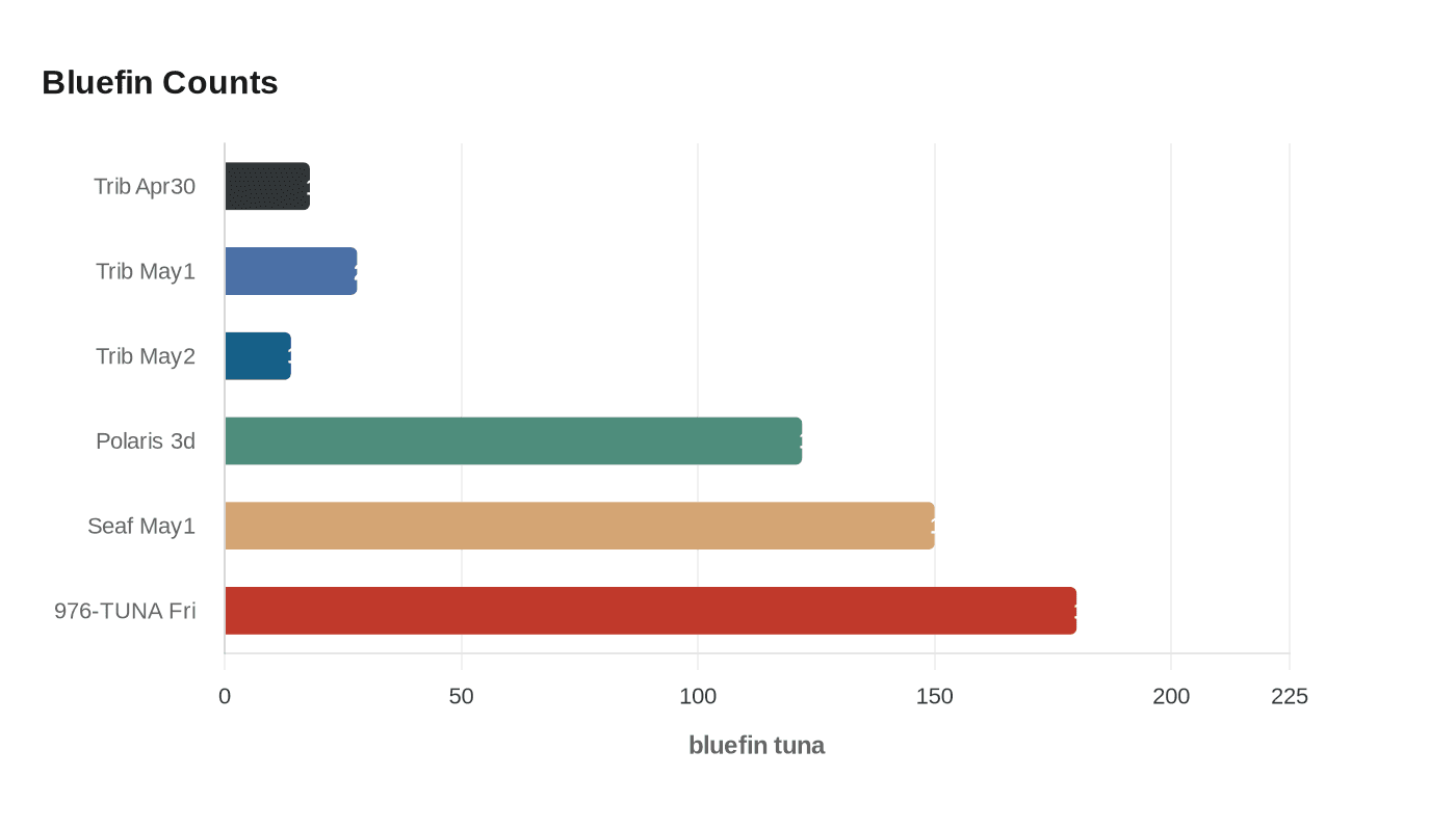 Bluefin Counts