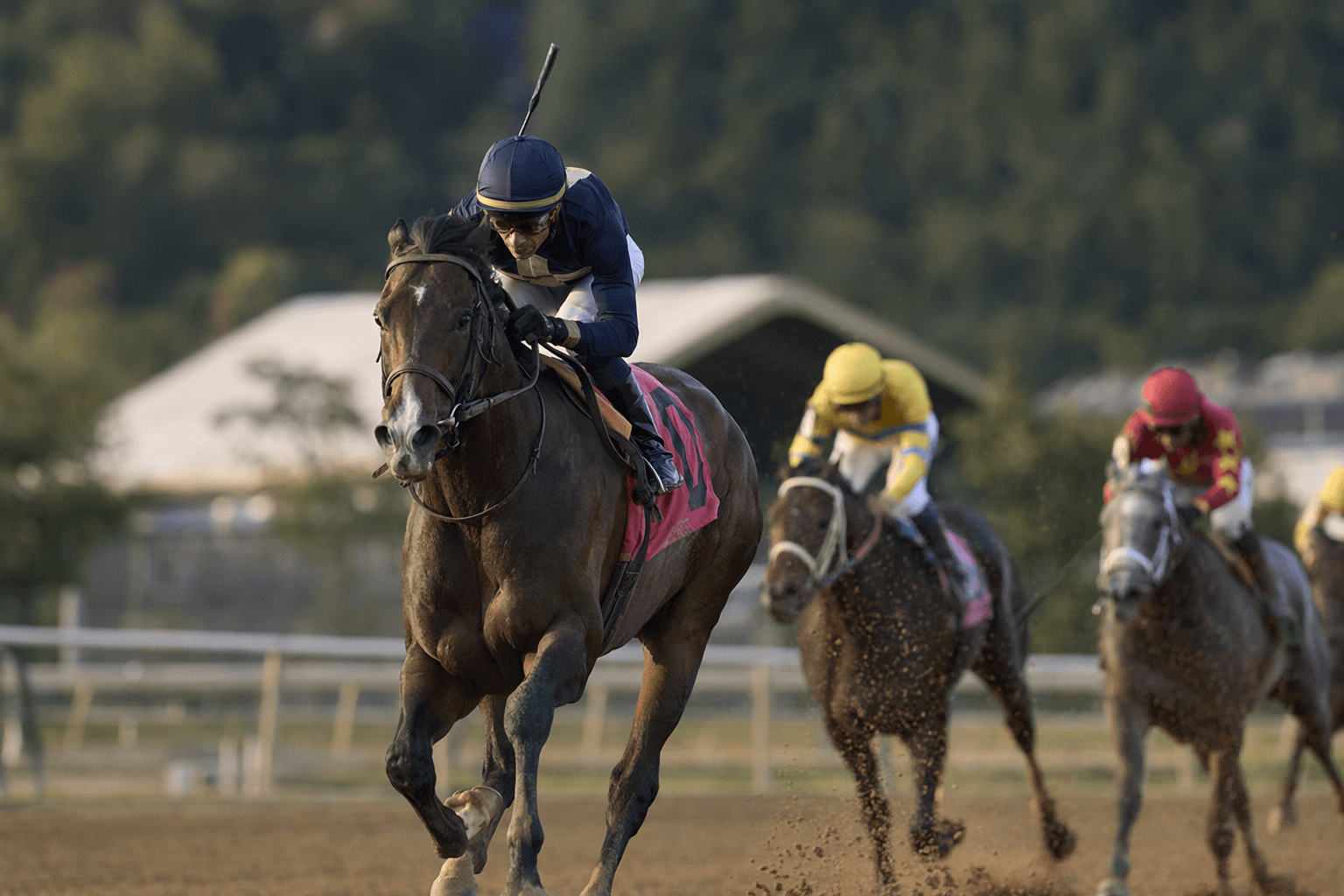 Waralo breaks through in Elusive Quality, earns first stakes victory
