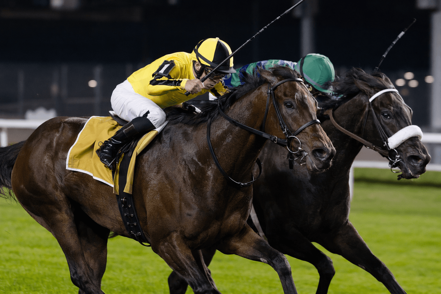 Yellow Card Rallies Late to Win Twin Spires Turf Sprint Stakes by Neck