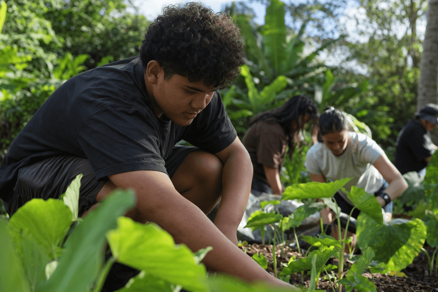 Applications open for KōCreate leadership, workforce program for island students