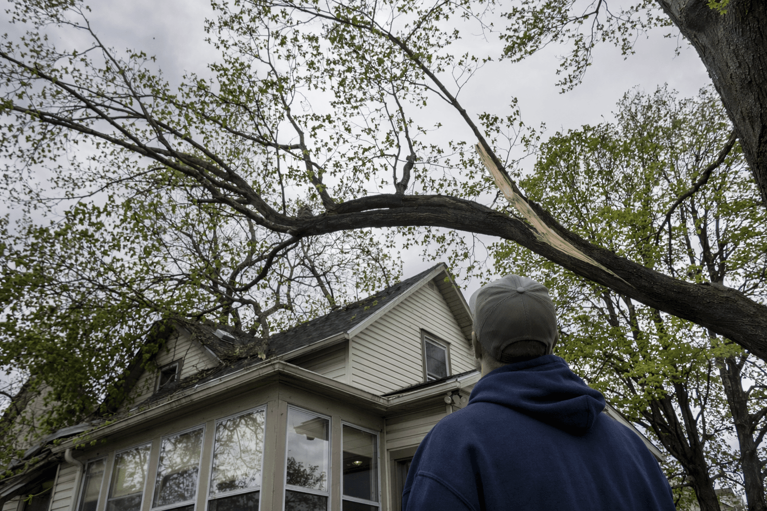 Jamestown-area homeowners urged to inspect trees for dangerous spring damage