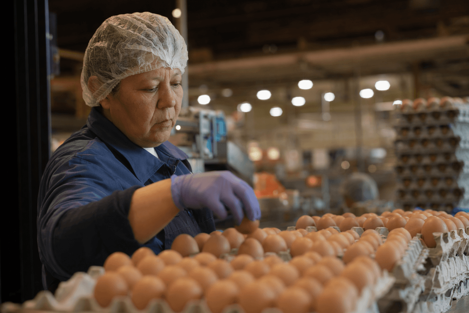 War crimes suspect quietly supplied eggs to Walmart stores for years