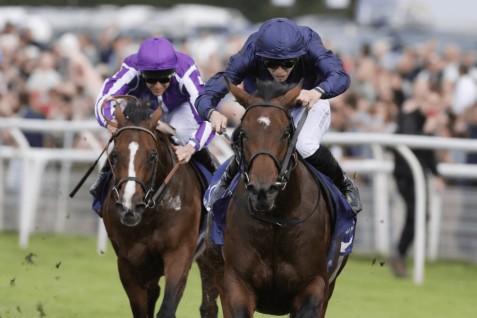 Precise and True Love lead O’Brien’s strong 1000 Guineas challenge