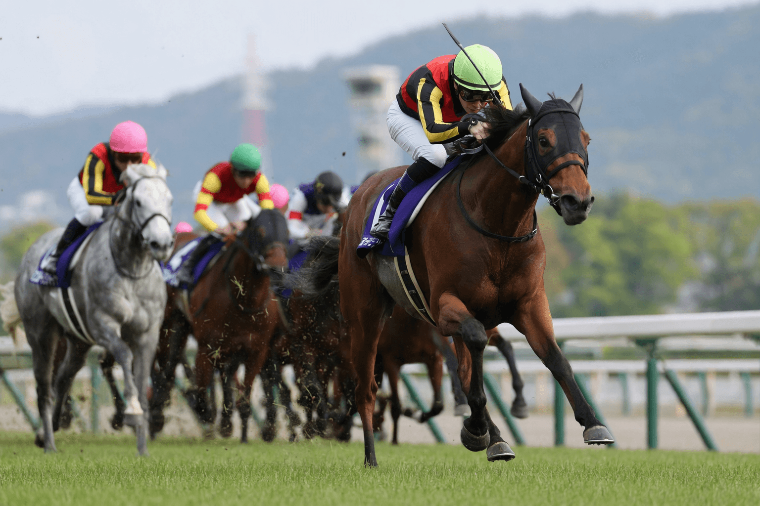 Croix du Nord leads weights for Japan's Tenno Sho Spring showdown
