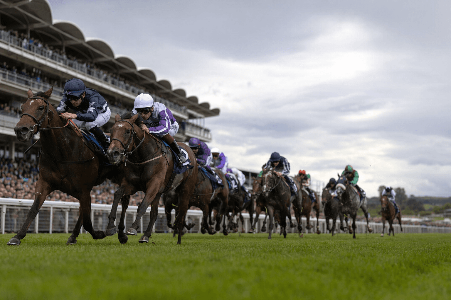 Bow Echo and Gstaad headline deep Two Thousand Guineas field