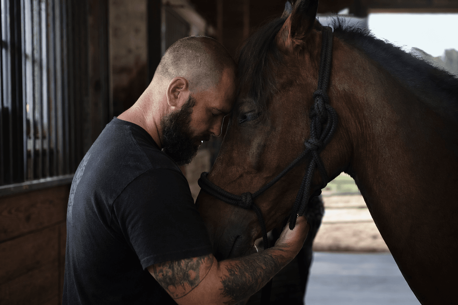 Horse therapy shows promise in easing PTSD for veterans, study finds