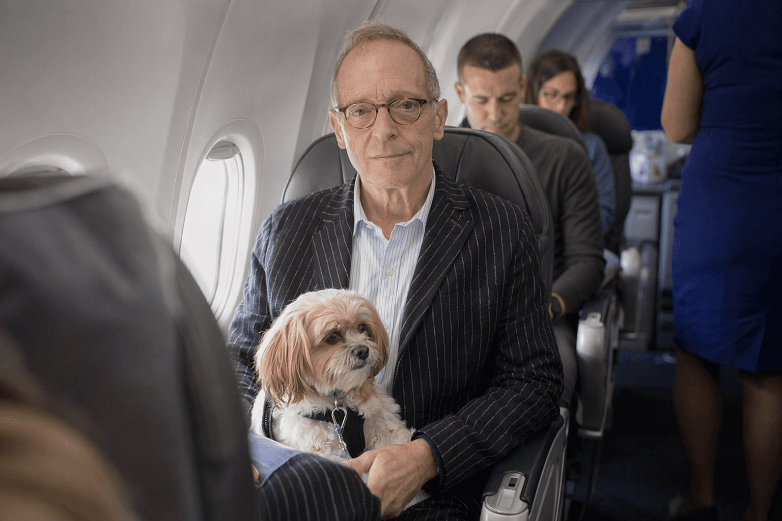 David Sedaris Questions Dogs Everywhere as City Pet Rules Shift