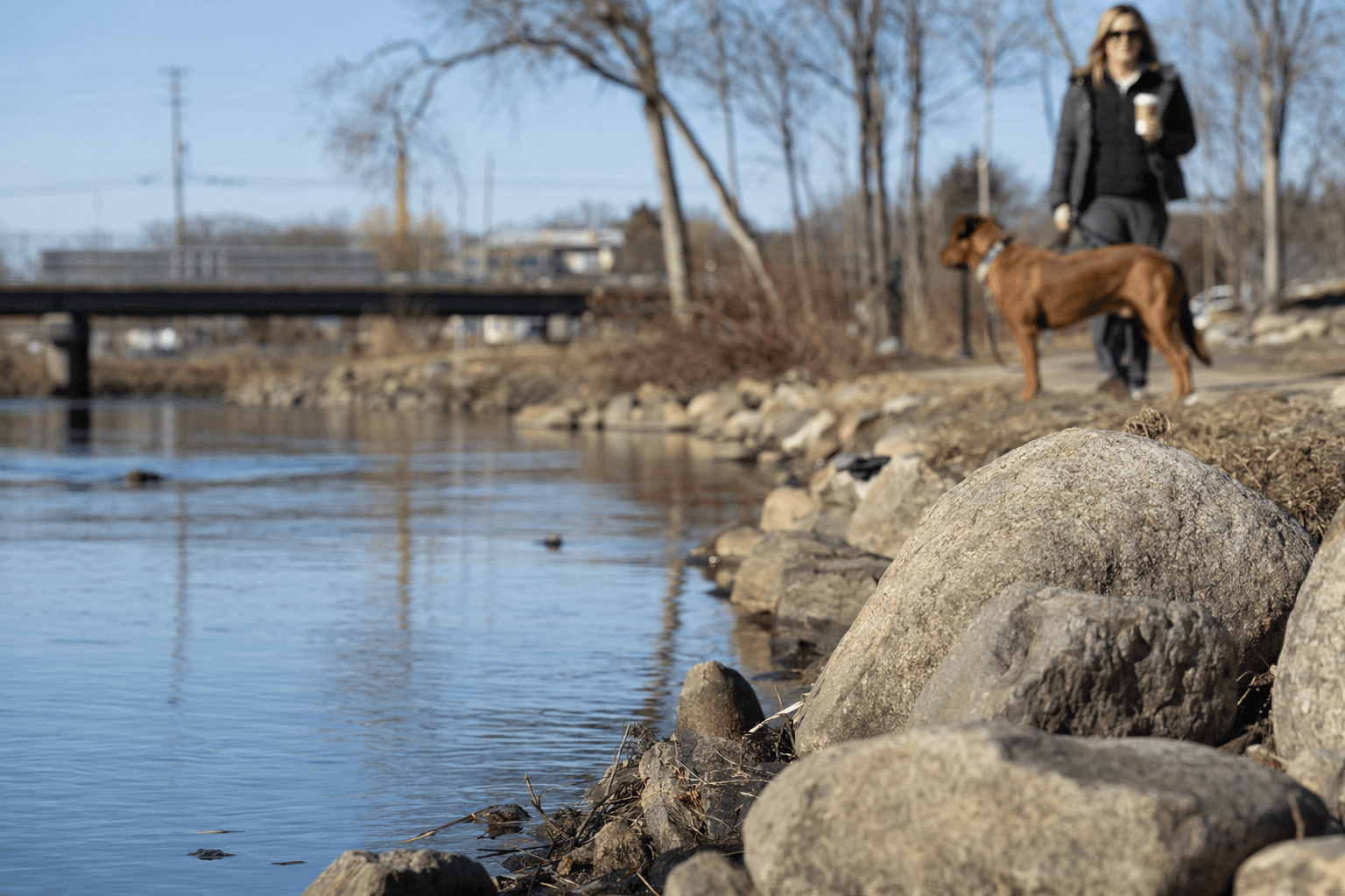 Thomaston closes Mill River Park to dogs for a year over water concerns