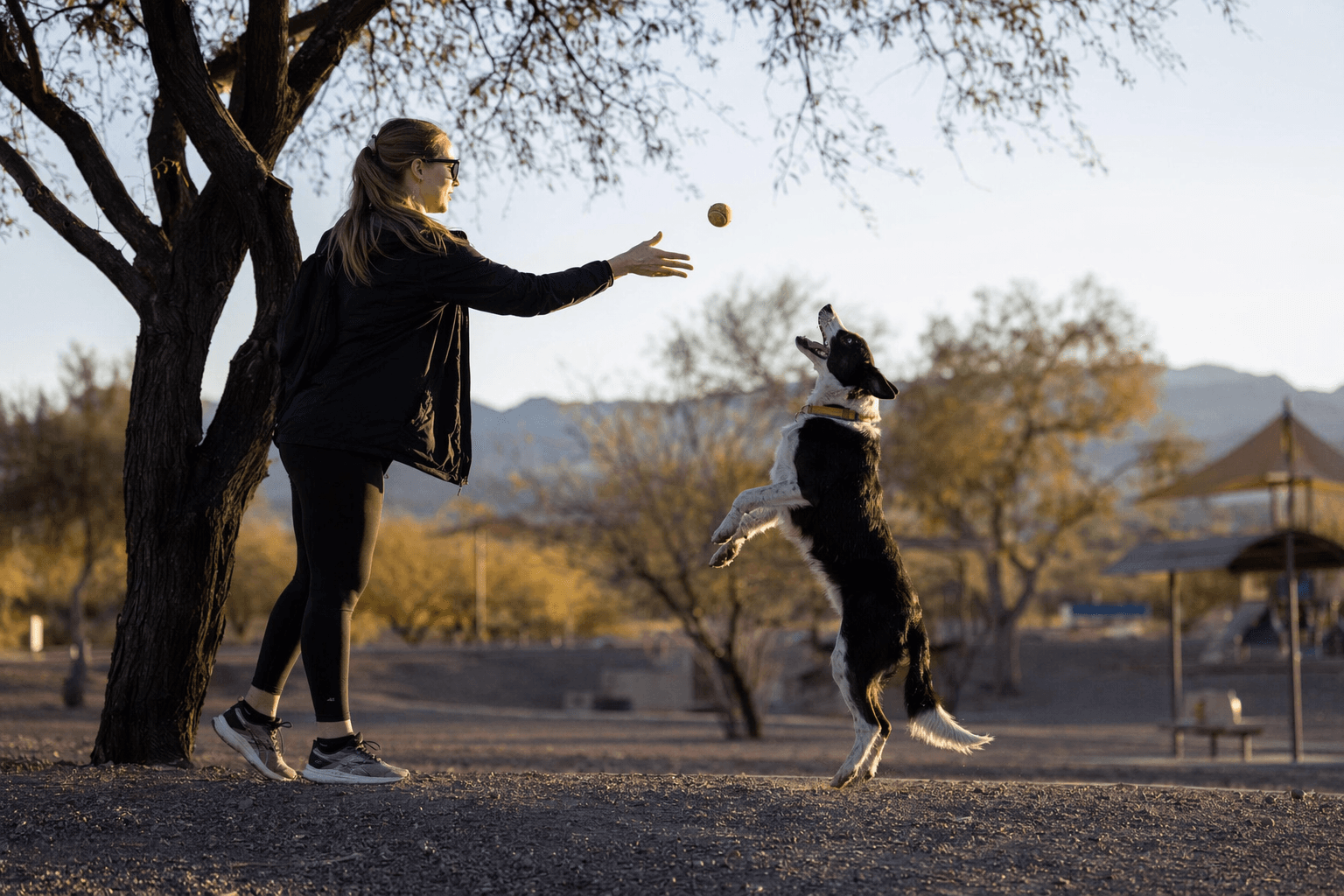 Lake Havasu City to improve Dylan Dog Park parking lot this weekend