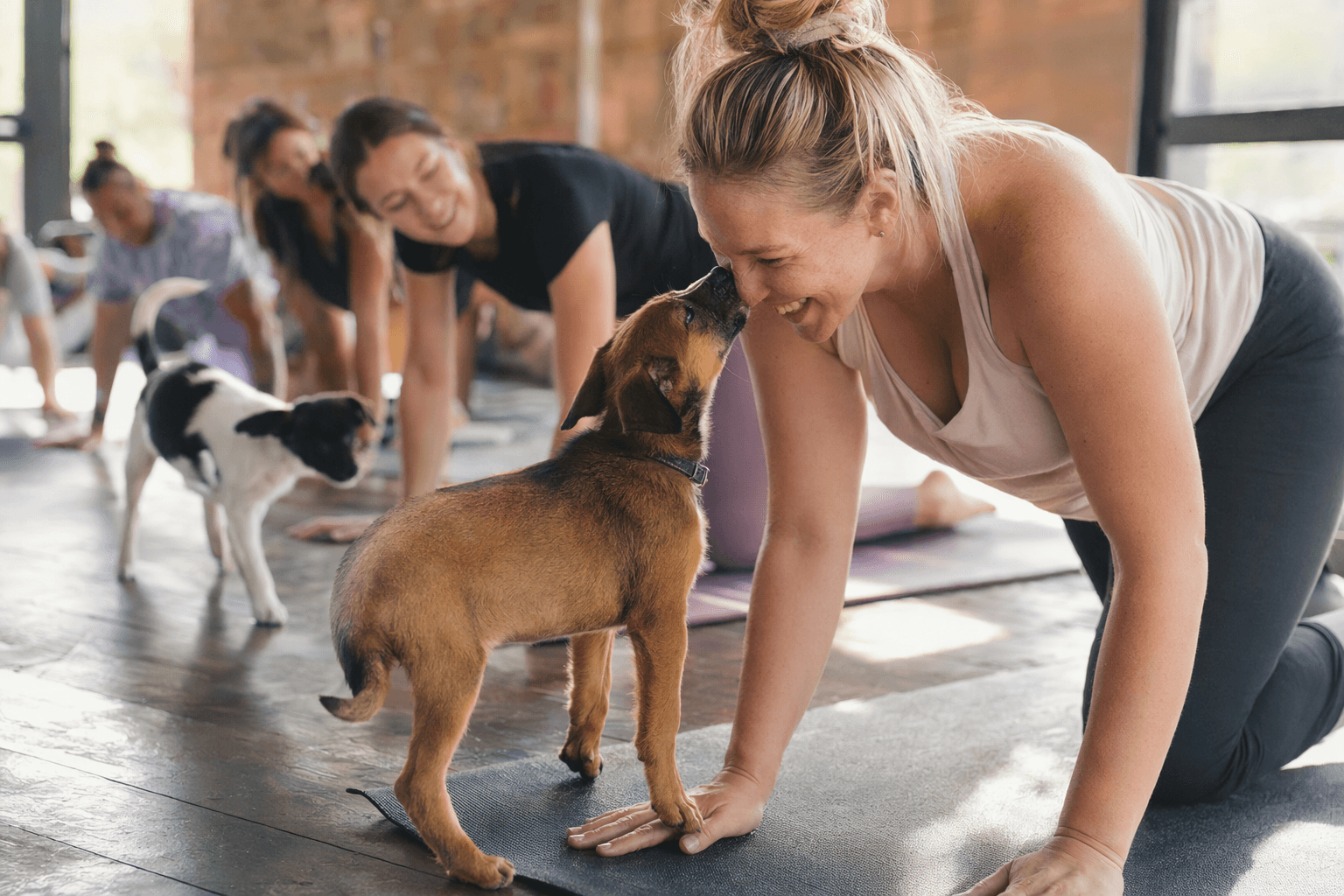 Puppy yoga joins Raleigh's shift toward screen-free socializing
