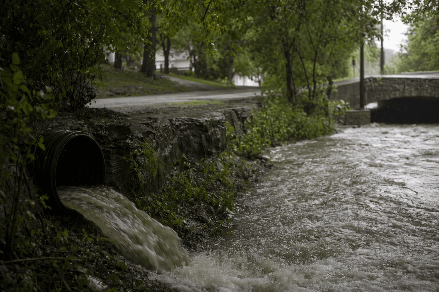 Chapin sewer overflow sends diluted sewage into Mauvaisterre Creek, water safe