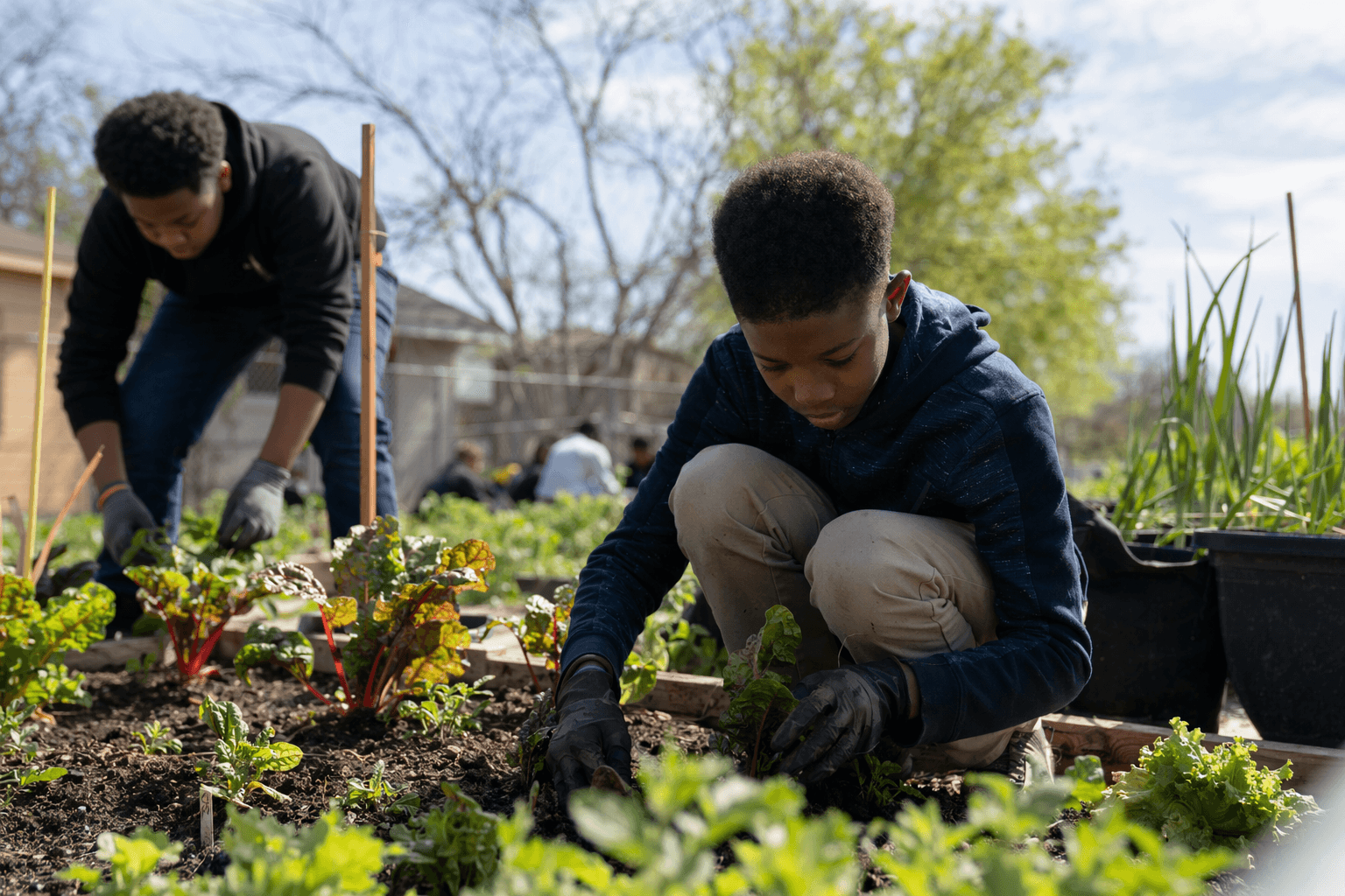 MainStreet Farms seeks tools, funding for Jacksonville summer program