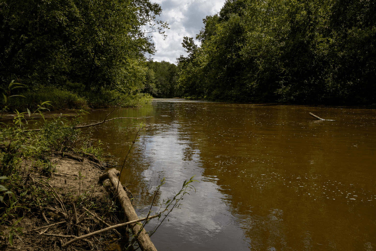 High E. coli levels raise water quality concerns on Haw River