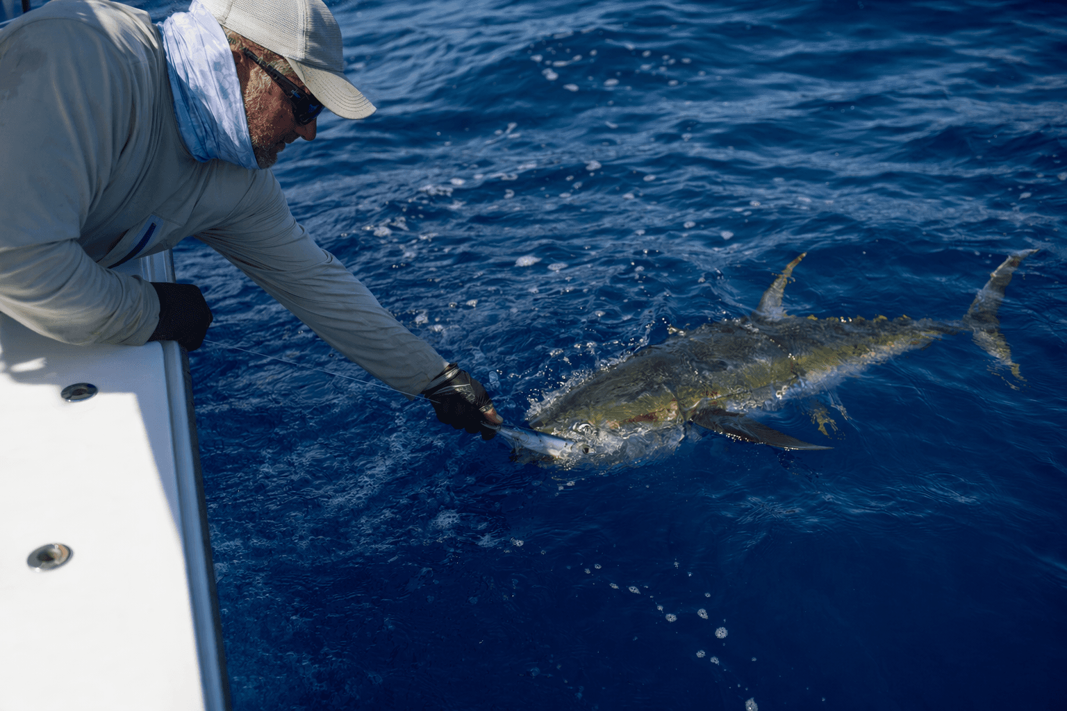Rig Ballyhoo to Swim Naturally, Win More Yellowfin Strikes