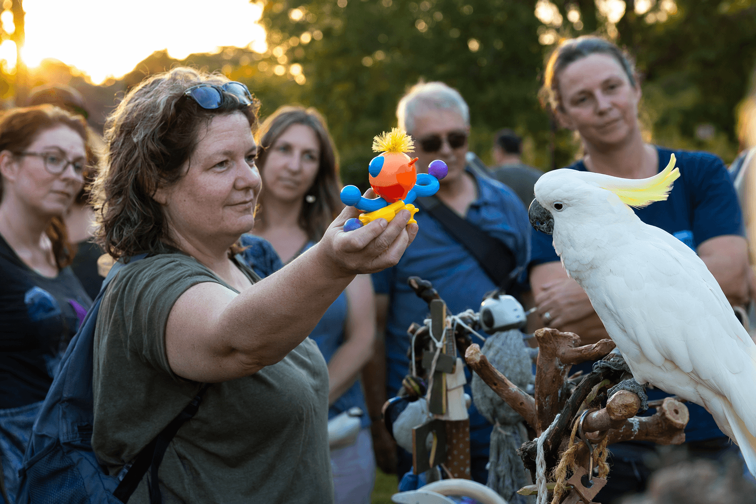 Cockatoo Rejects Dancing Toy, Reminding Caregivers Enrichment Is Personal