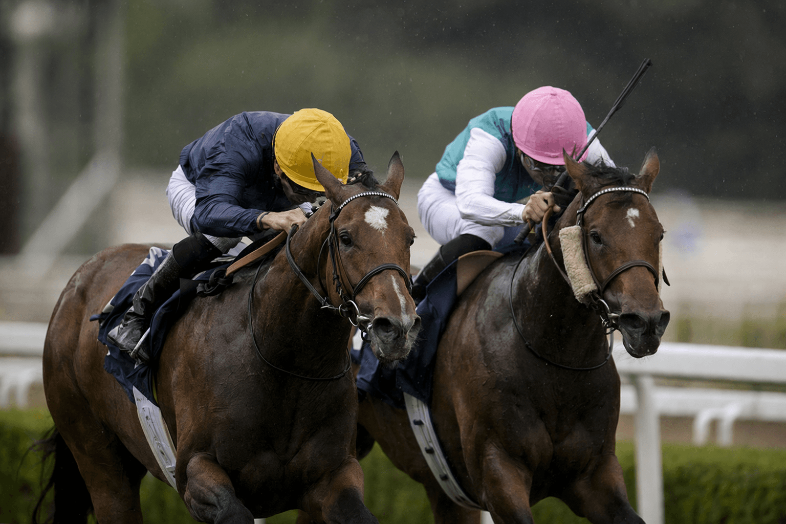 Dark Angel Sires Italian Guineas Double at San Siro