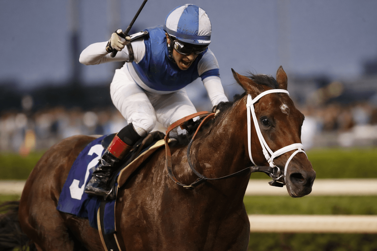 City Girl Springs Upset in Beaugay Stakes for First Graded Win