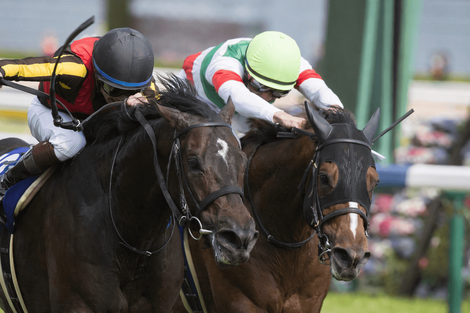 Croix du Nord wins Tenno Sho, survives nose finish at Kyoto