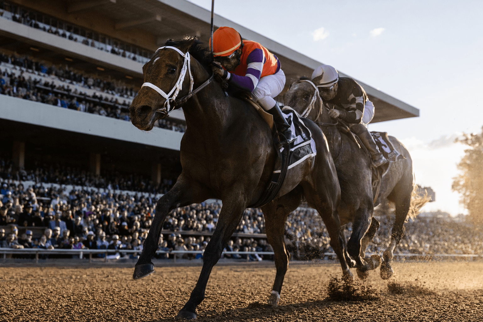 Willy D's edges millionaire Coal Battle in Oaklawn closing-day stakes win