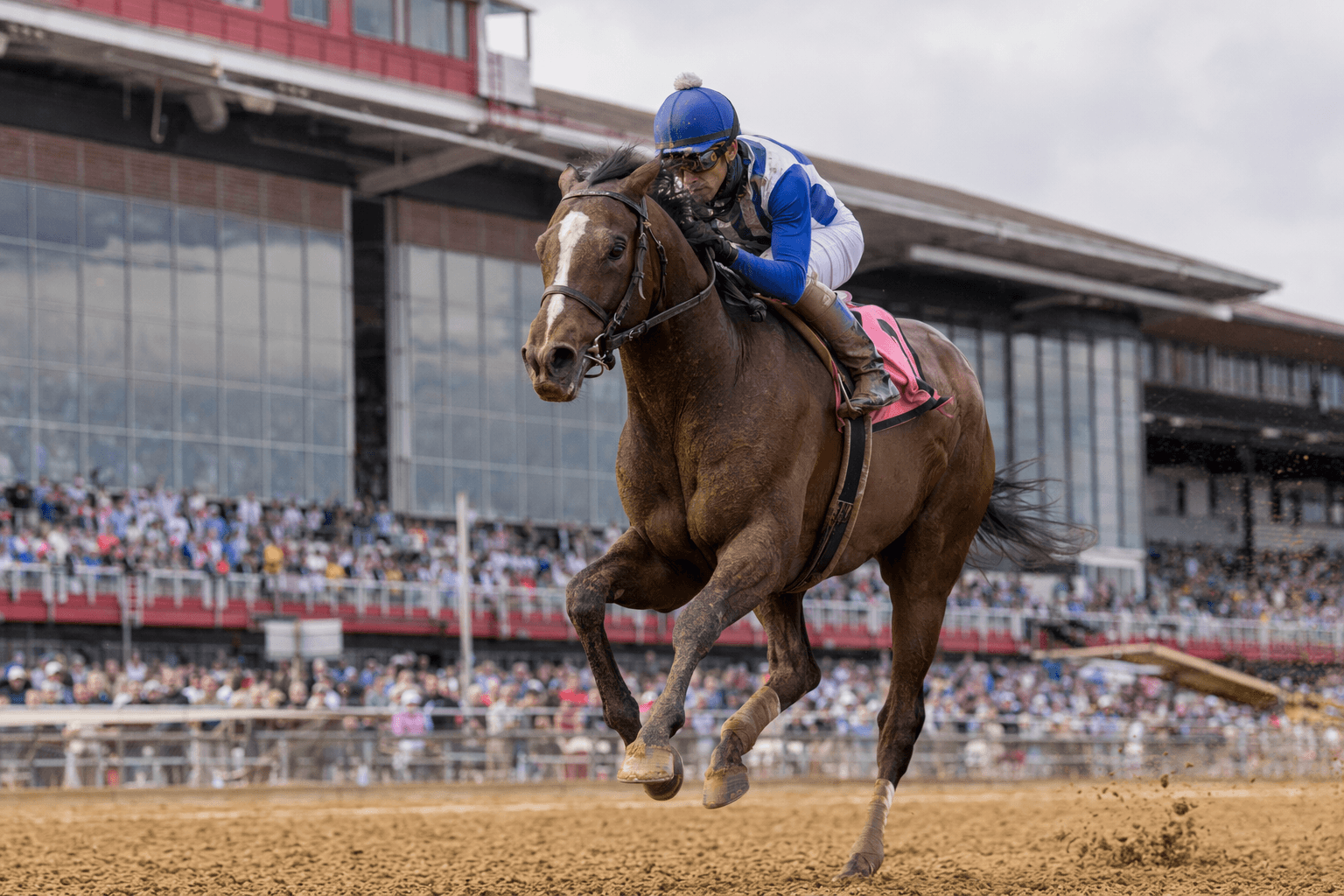 Crude Velocity storms to Pat Day Mile record, emerges Preakness favorite