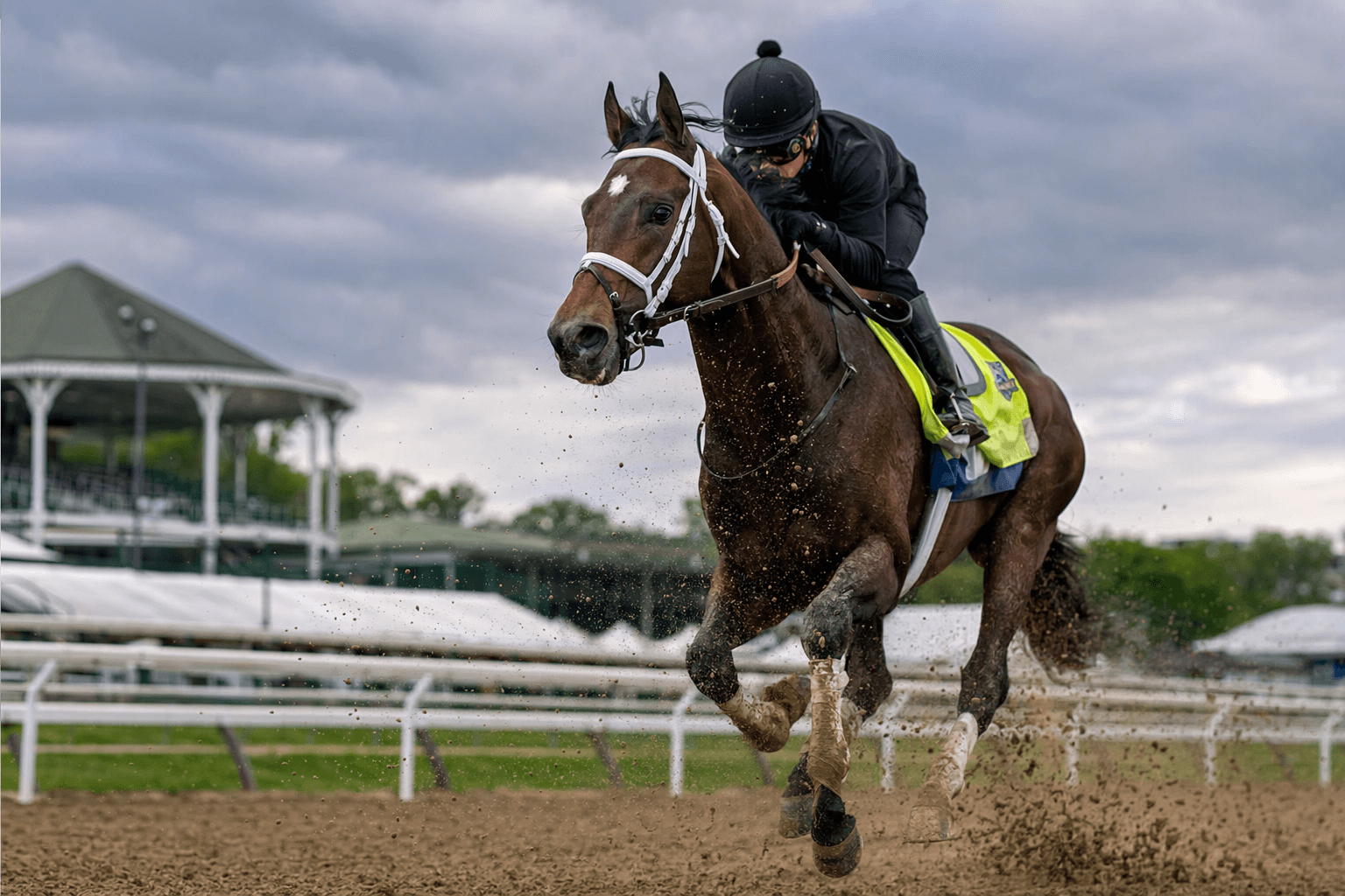 Kentucky Derby winner Golden Tempo considered for Preakness at Laurel Park