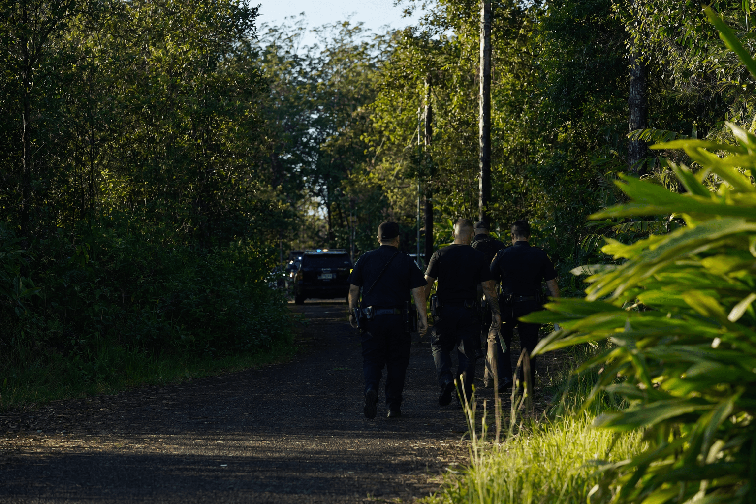 Big Island police search Fern Acres property for armed wanted man