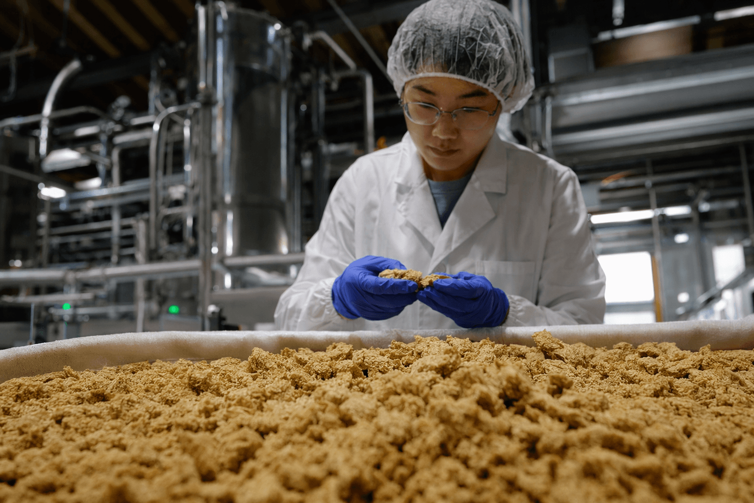 China’s alternative protein push could reshape global agricultural trade by 2040