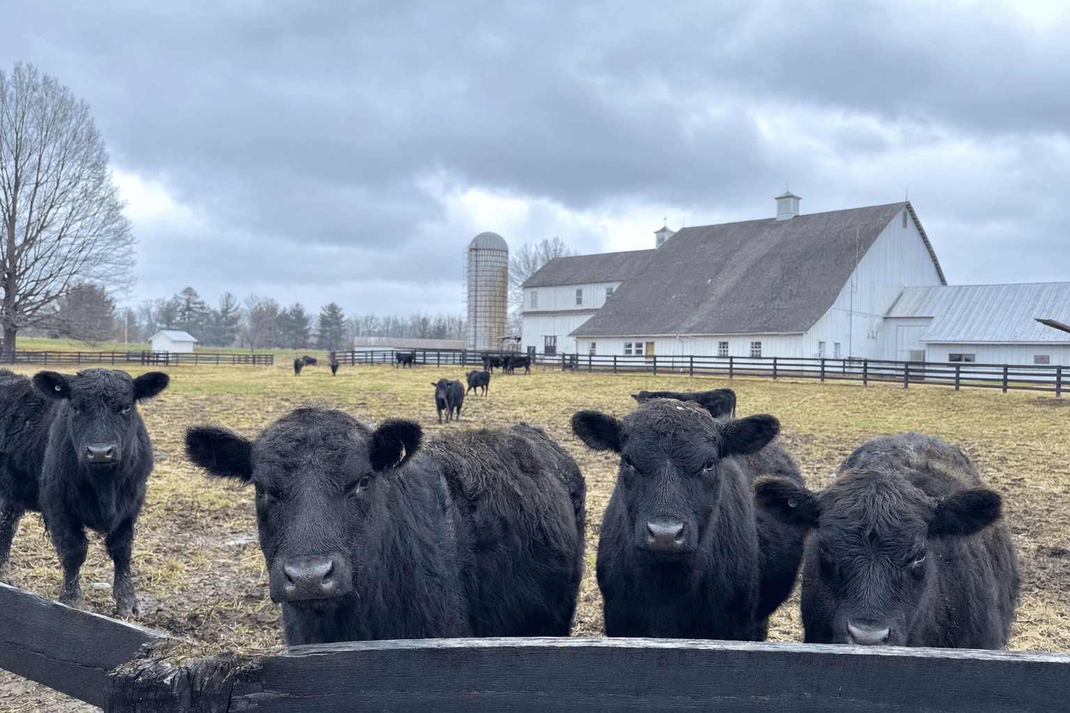Virginia Farm Bureau to Spotlight Goochland County Agriculture This May