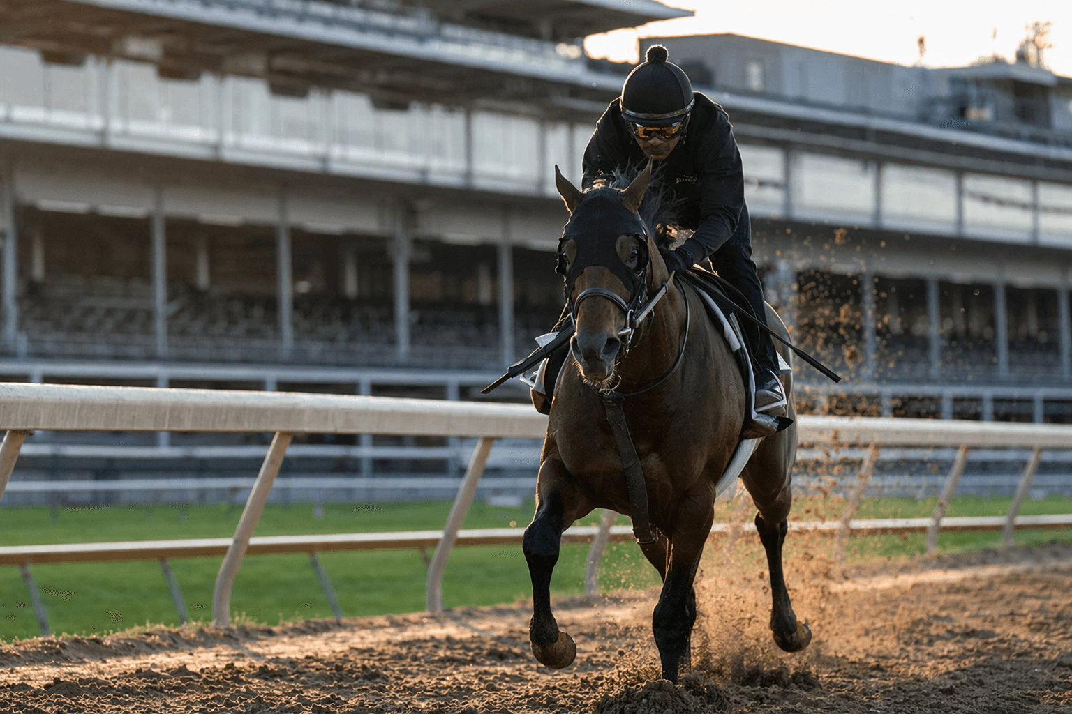 Preakness field grows to 16 possibles despite Derby absences