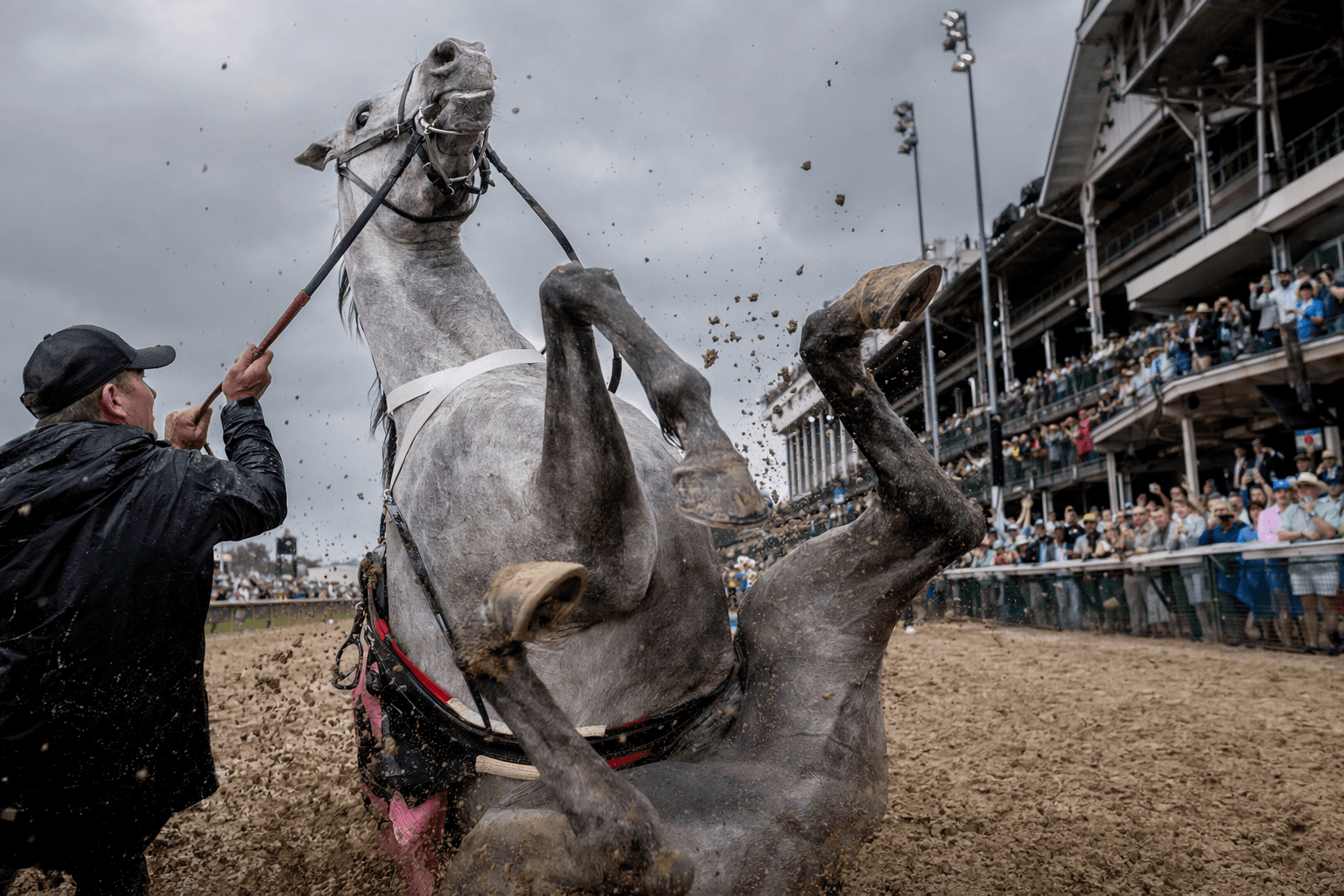 Great White unharmed after alarming pre-Derby fall, scratches at Churchill Downs