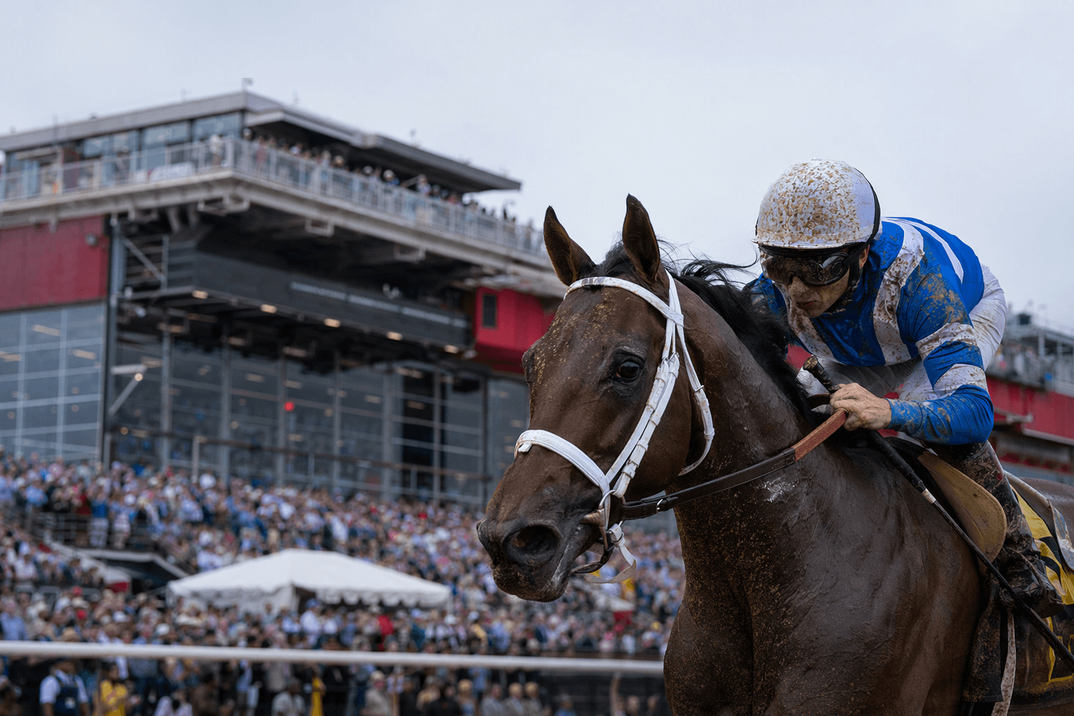 Preakness Stakes field swells to 16, Golden Tempo's status uncertain