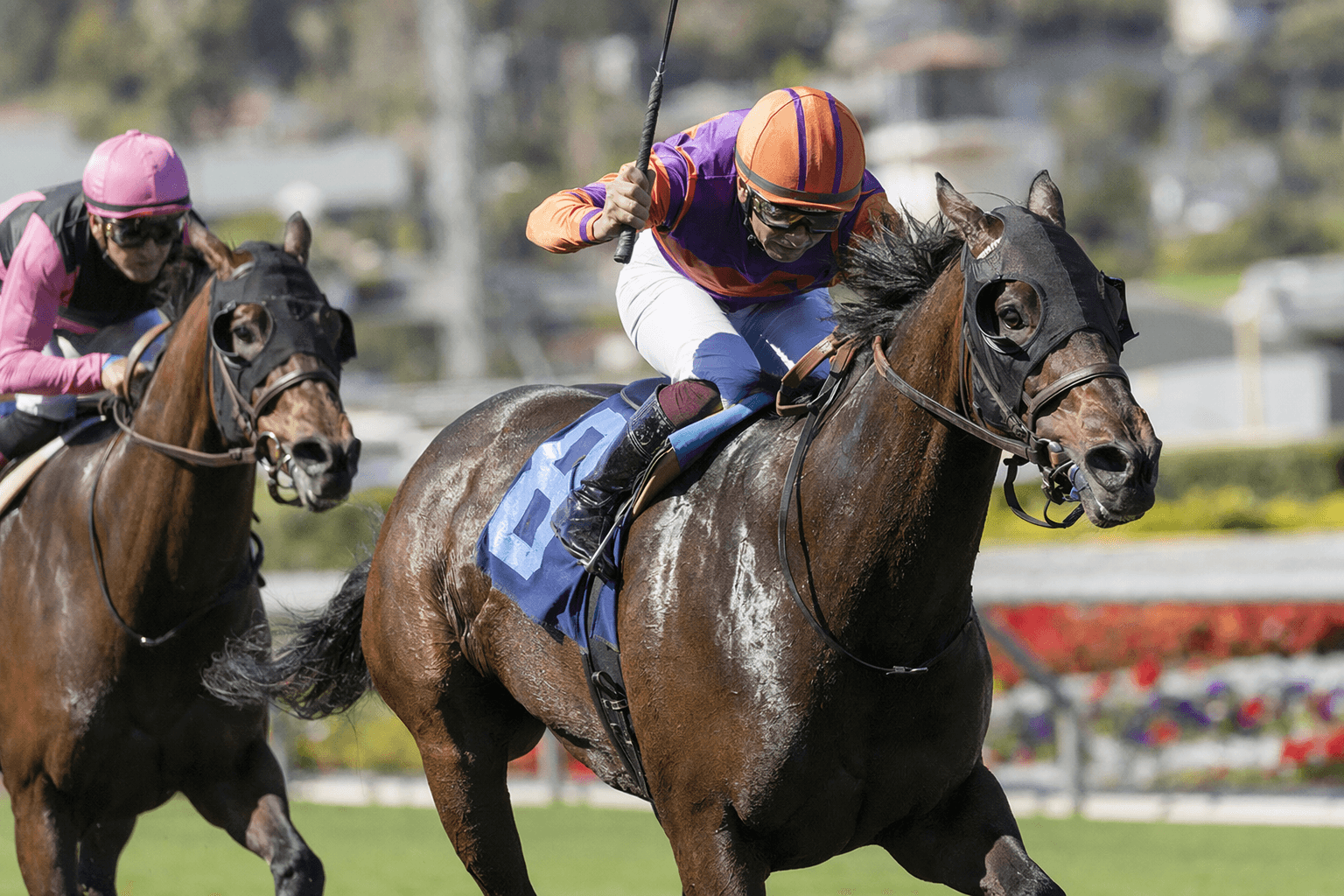 Hey Jessie ends 17-month stakes drought in Santa Barbara Stakes victory