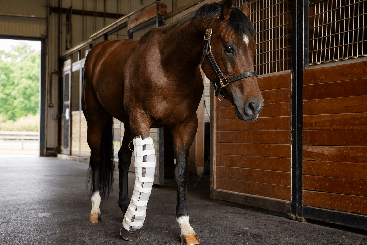 Gosger survives career-ending leg injury after surgery at Churchill Downs
